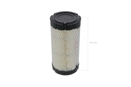 RG15842930 AIR FILTER
